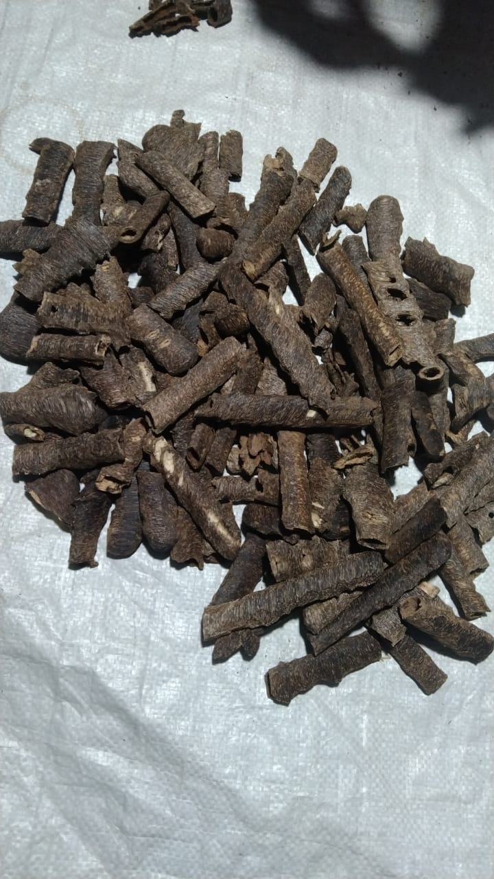 Mori/Kalagasi Agarwood Chips